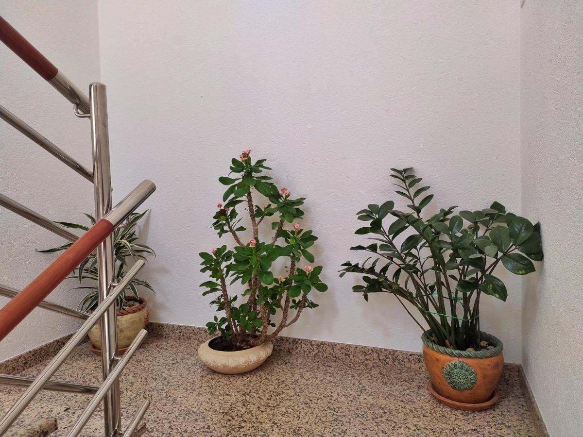 ספליט Apartmani Skejic מראה חיצוני תמונה
